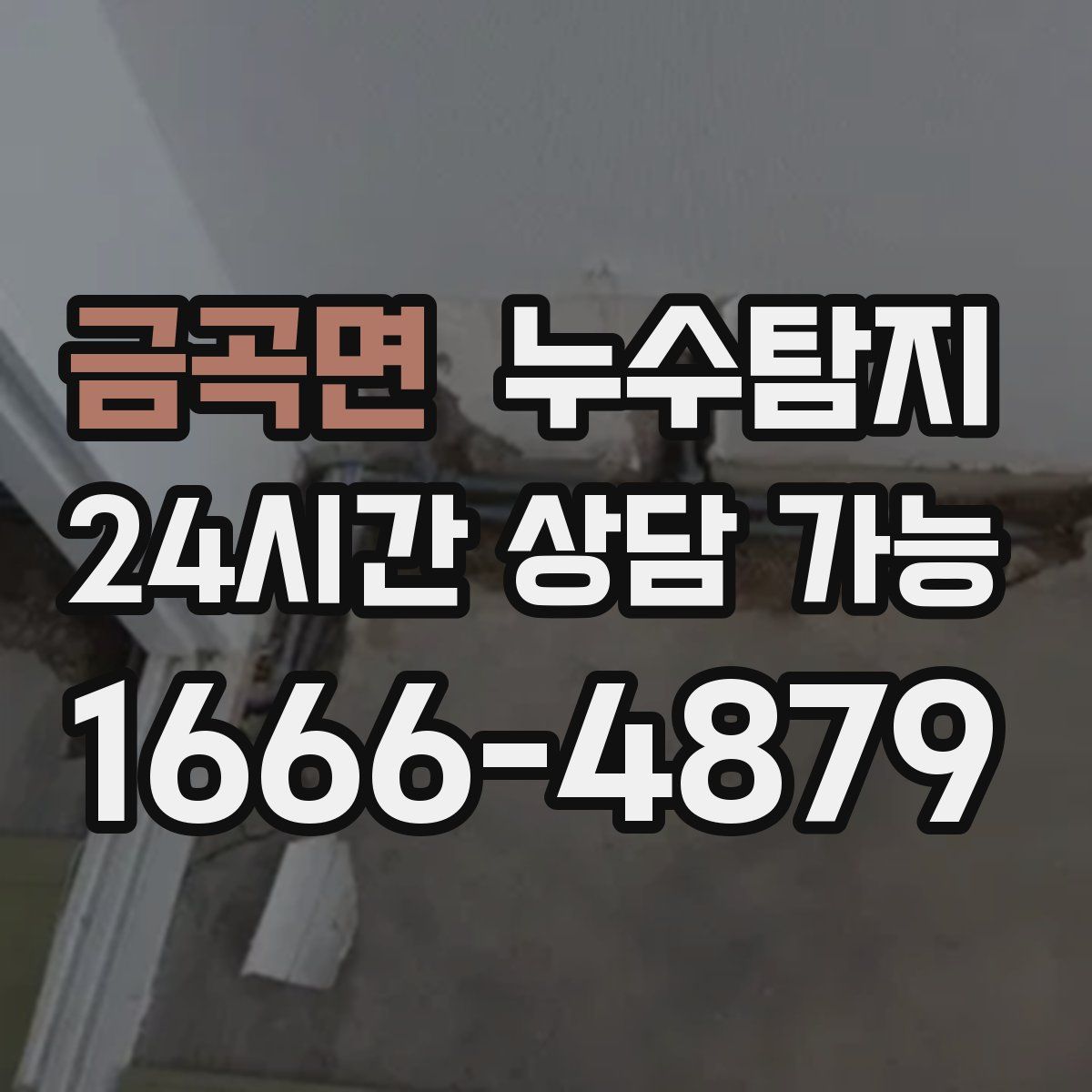금곡면 누수탐지