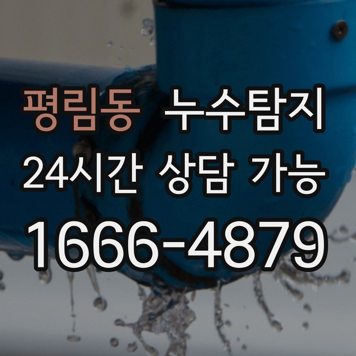 평림동 누수탐지 열화상 청음 정밀 점검
