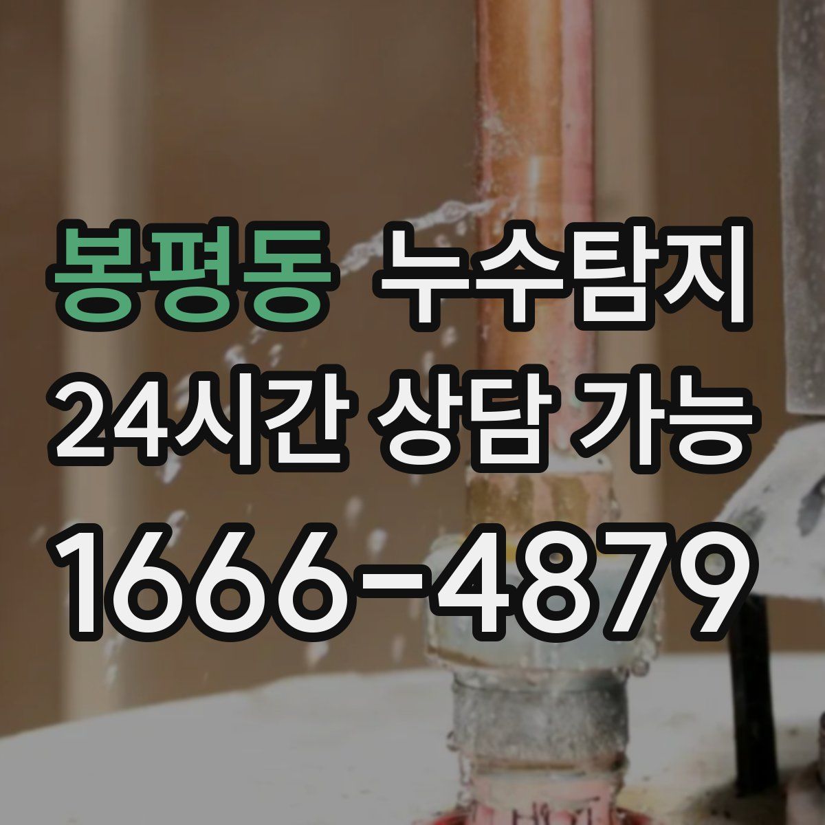 봉평동 누수탐지