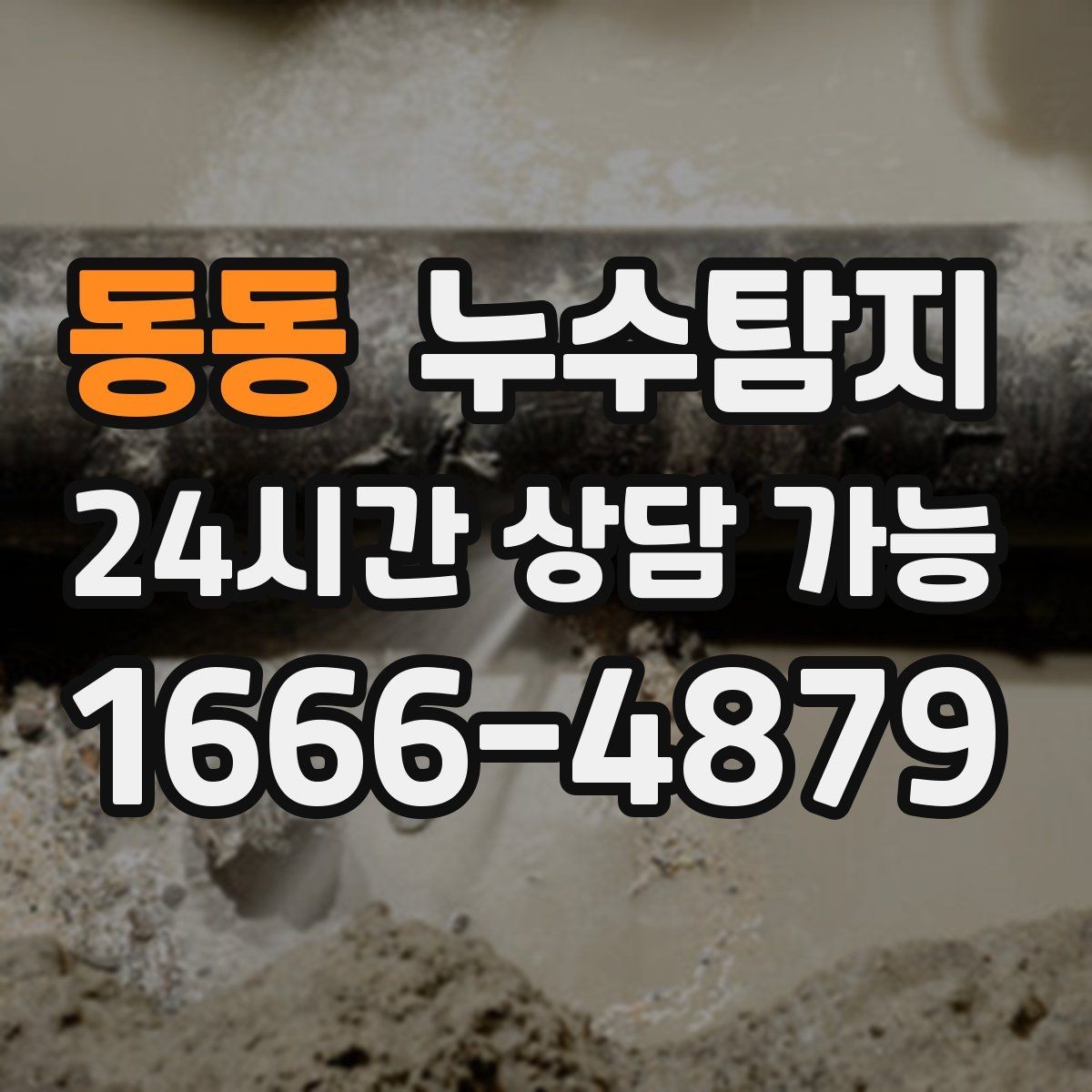 동동 누수탐지 단열 결로와 누수 구분 진단