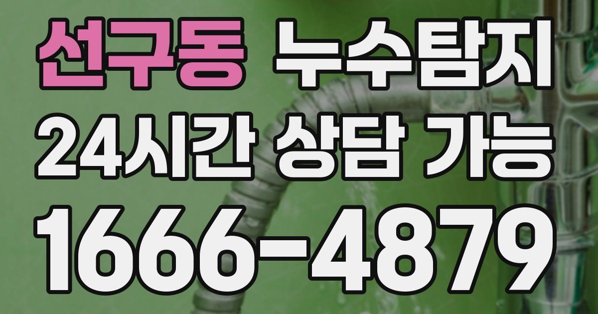 선구동 누수
