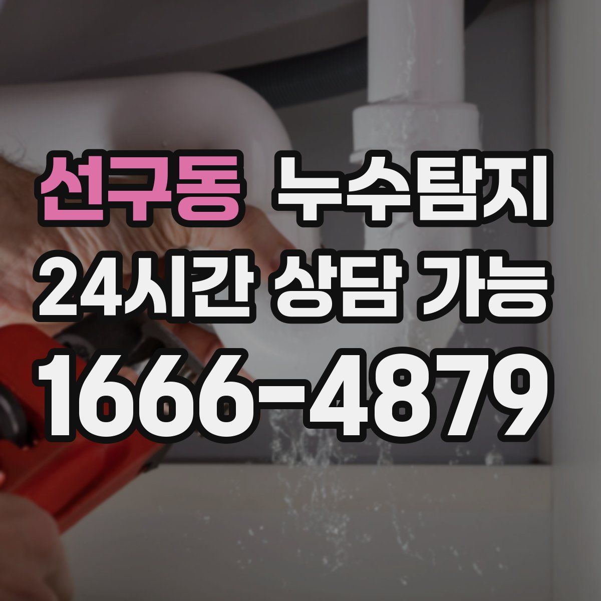 선구동 누수탐지