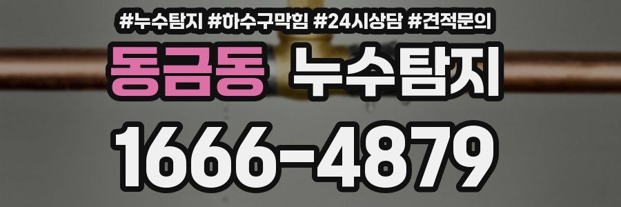 누수탐지