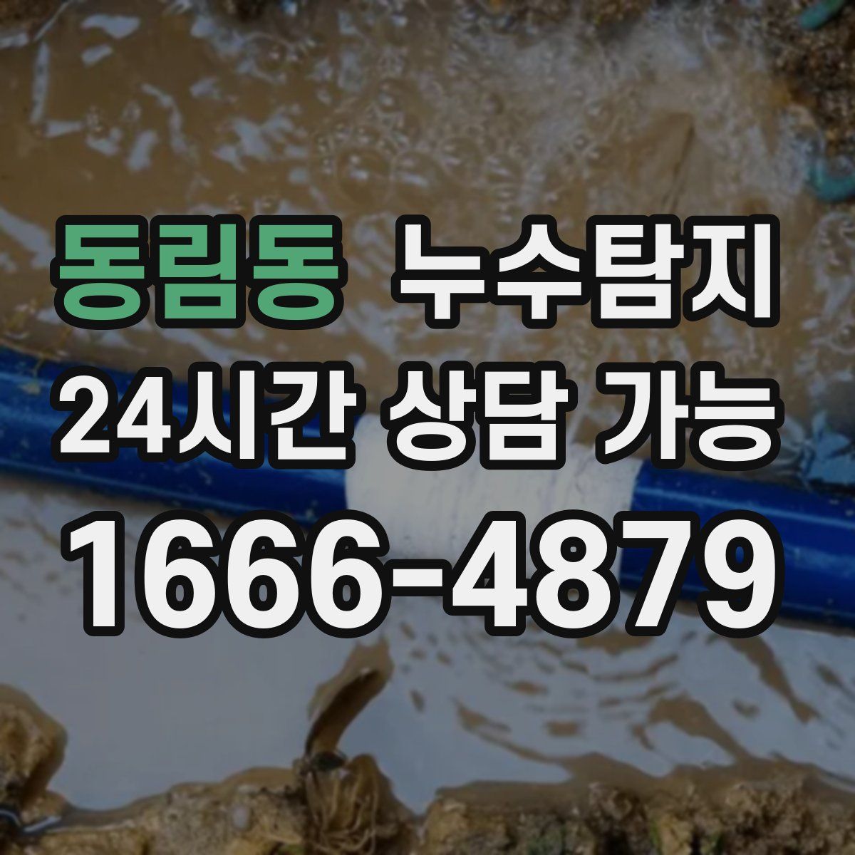 동림동 누수탐지