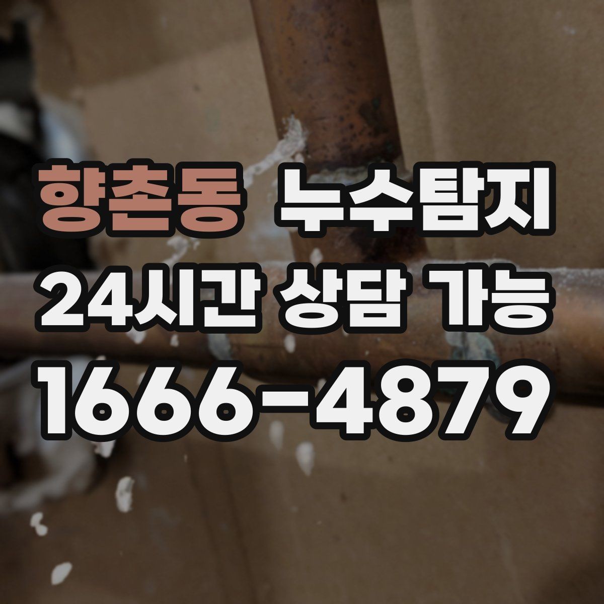 향촌동 누수탐지 방수 결함 누수 진단