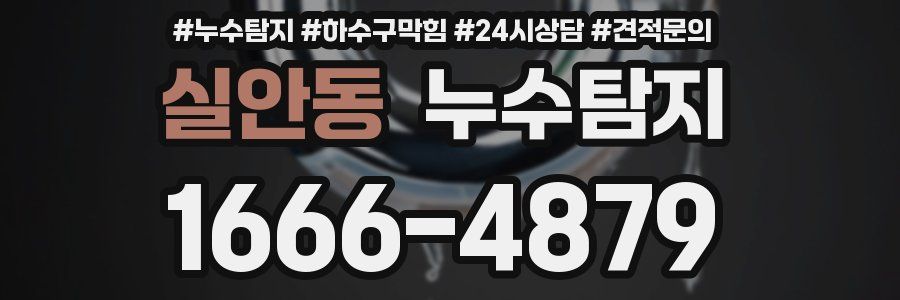 누수탐지