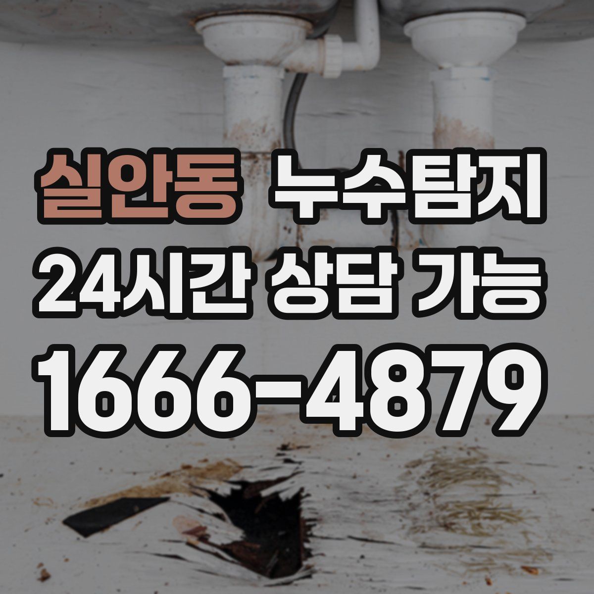 실안동 누수탐지