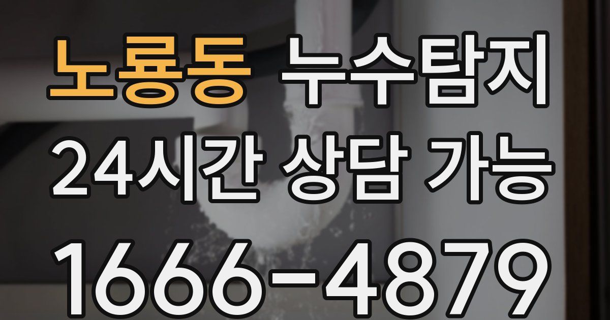 노룡동 누수