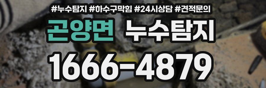 누수탐지