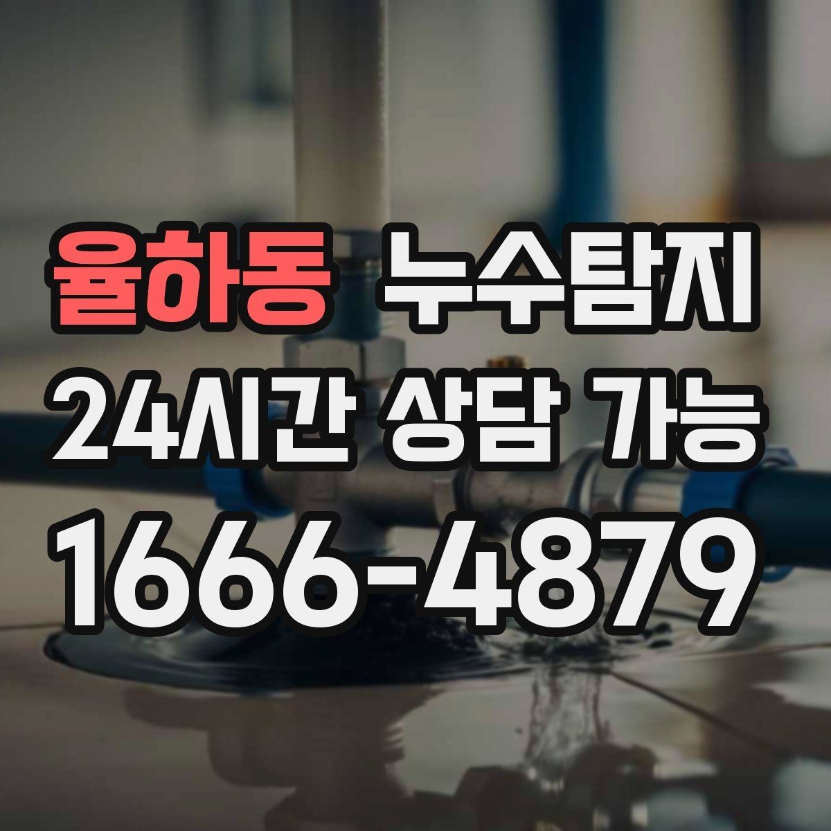 율하동 누수탐지 장마철 침수 피해 줄이는 예방법