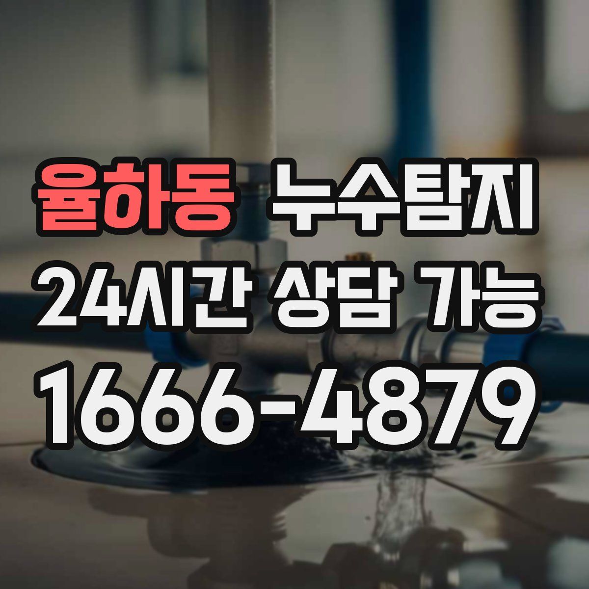 율하동 누수탐지