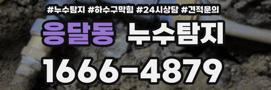 누수탐지