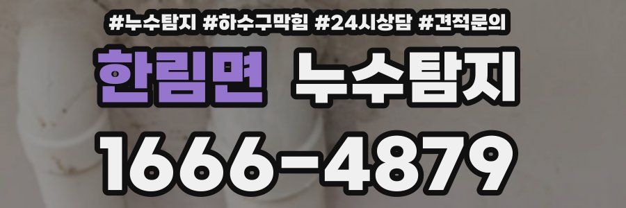 누수탐지