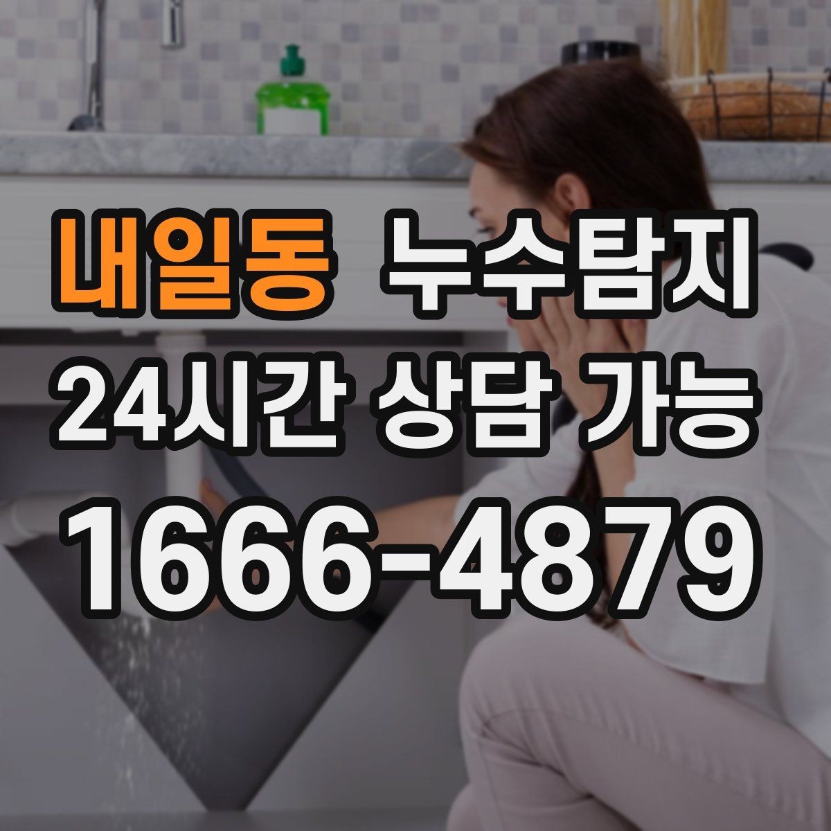 내일동 누수탐지 아이와 반려동물을 위한 안전 점검