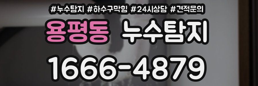 누수탐지