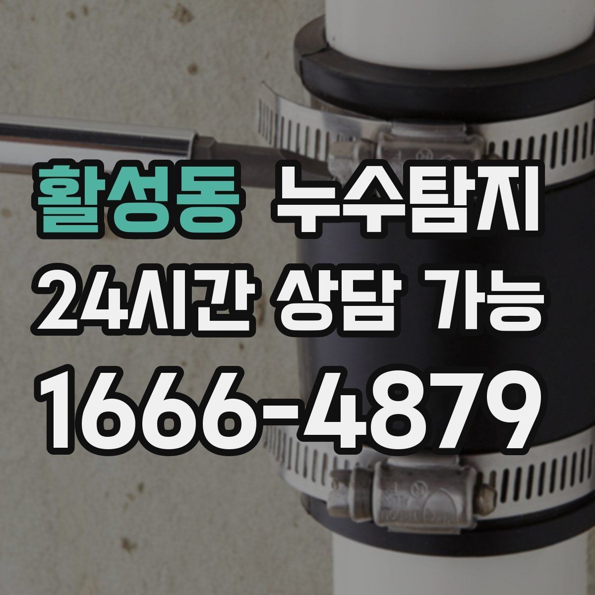 활성동 누수탐지 반려가정 배려 점검 후기