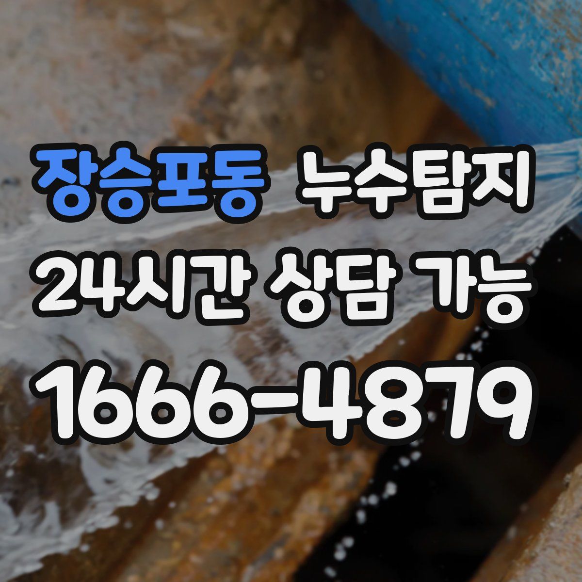 장승포동 누수탐지