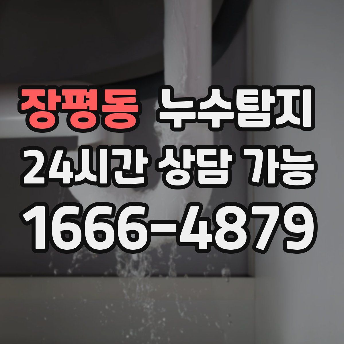 장평동 누수탐지