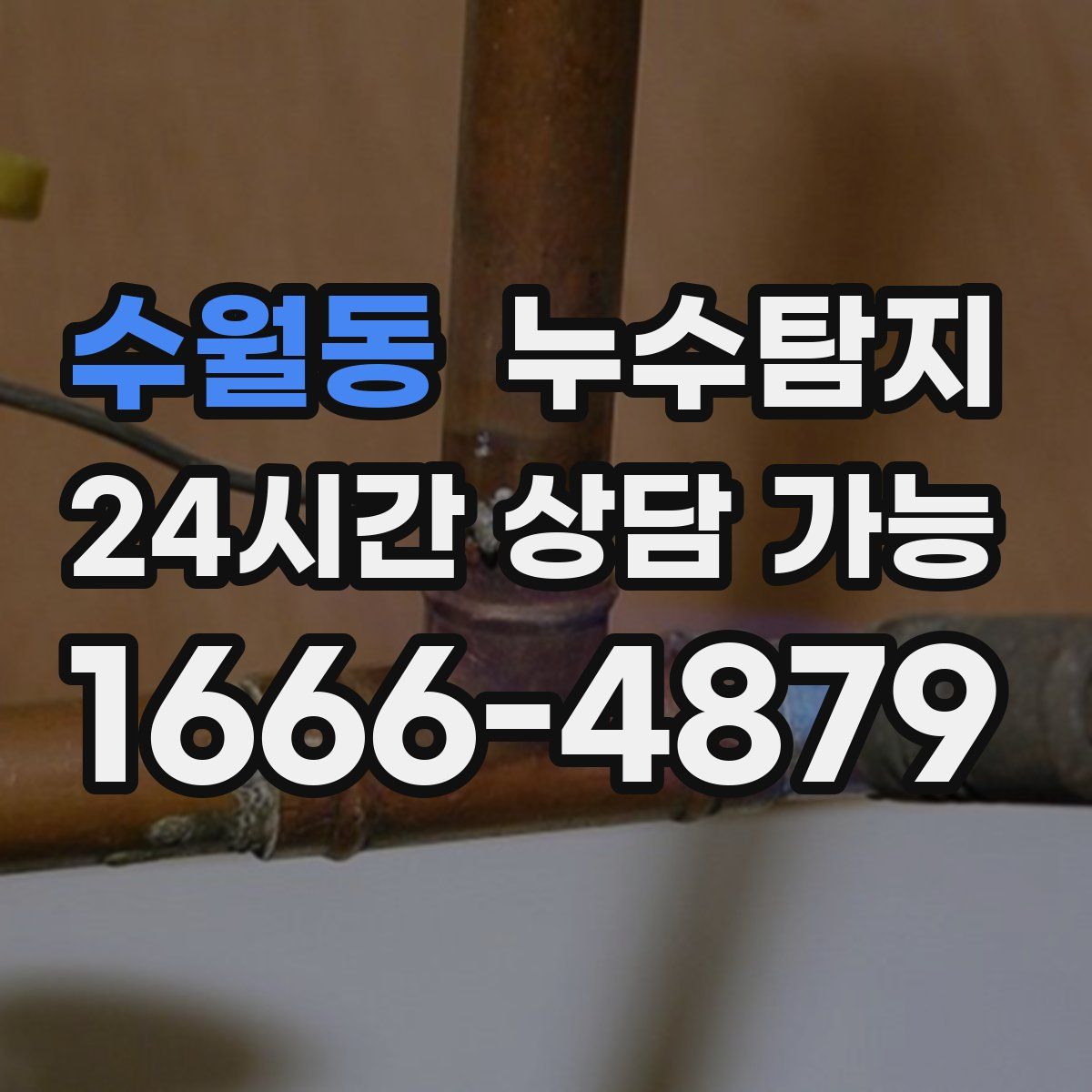 수월동 누수탐지