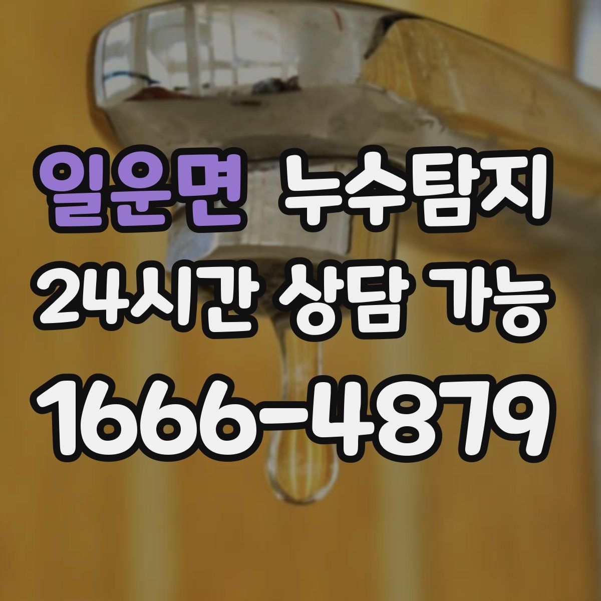 일운면 누수탐지