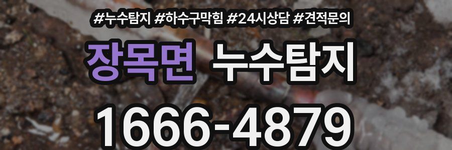 누수탐지