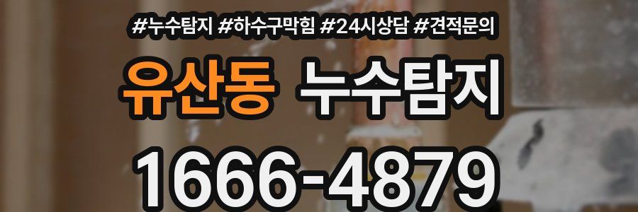 누수탐지