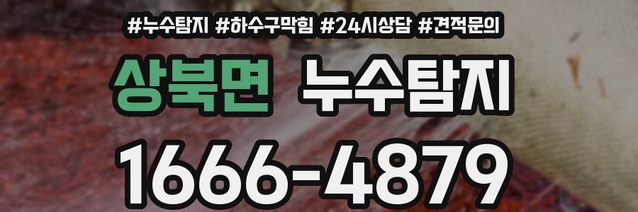 누수탐지