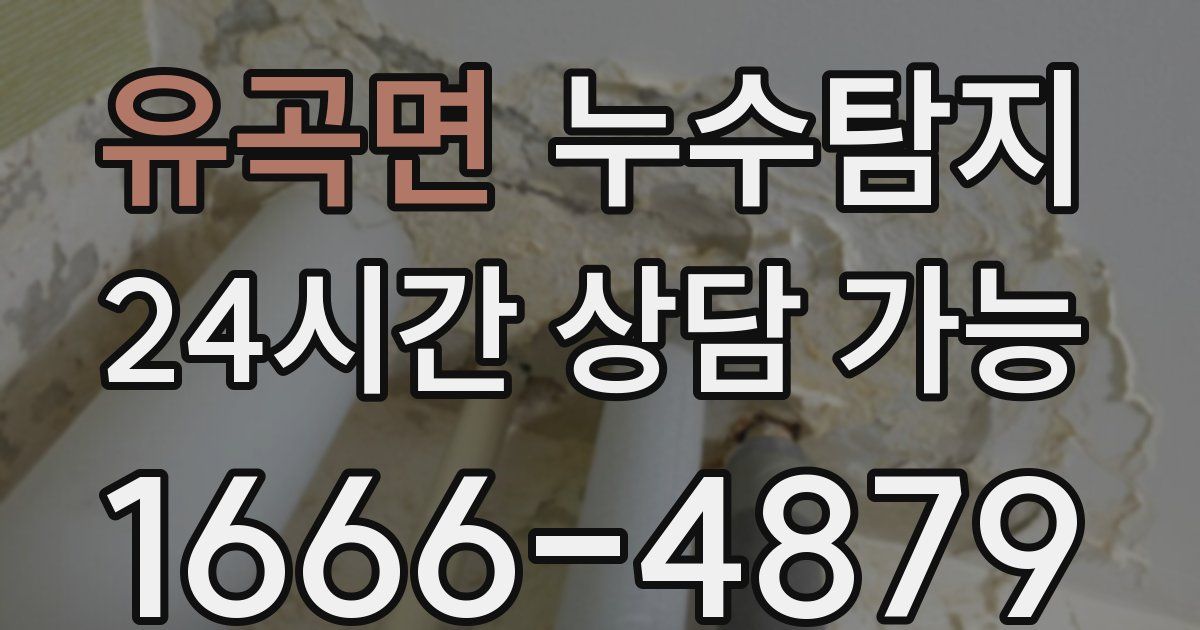 유곡면 누수