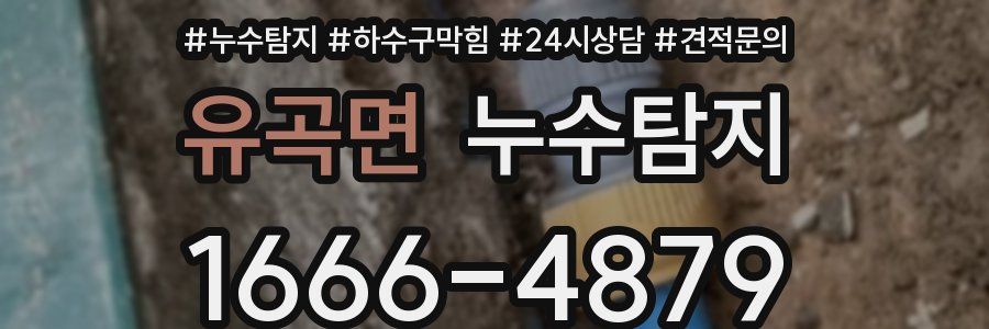 누수탐지