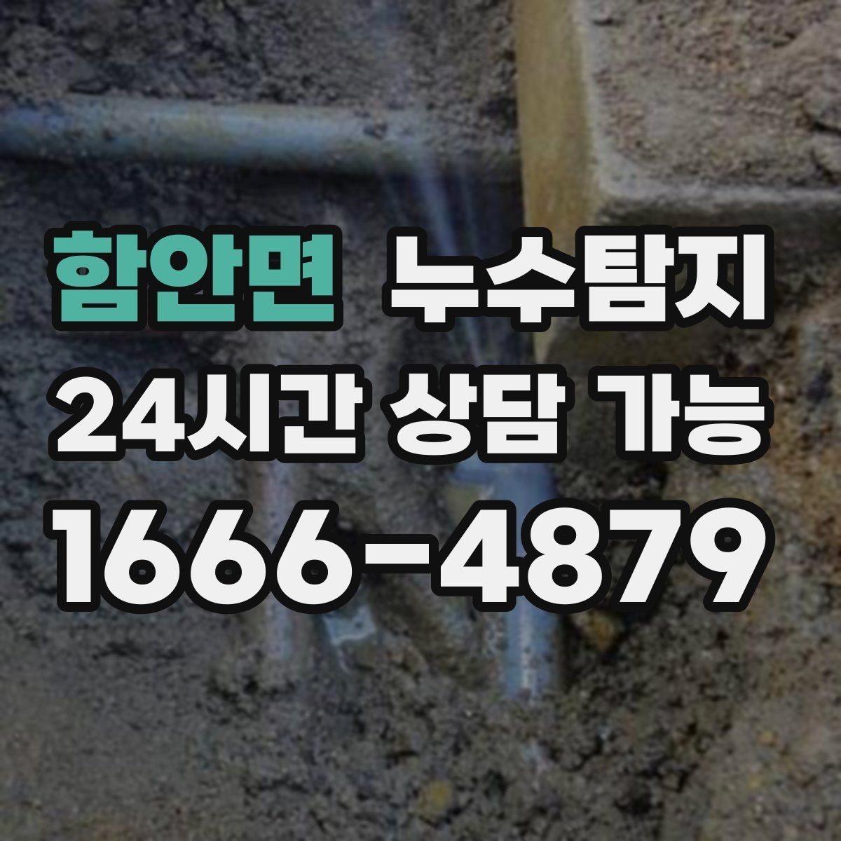 함안면 누수탐지 외벽 침투수 초기 대응 기록