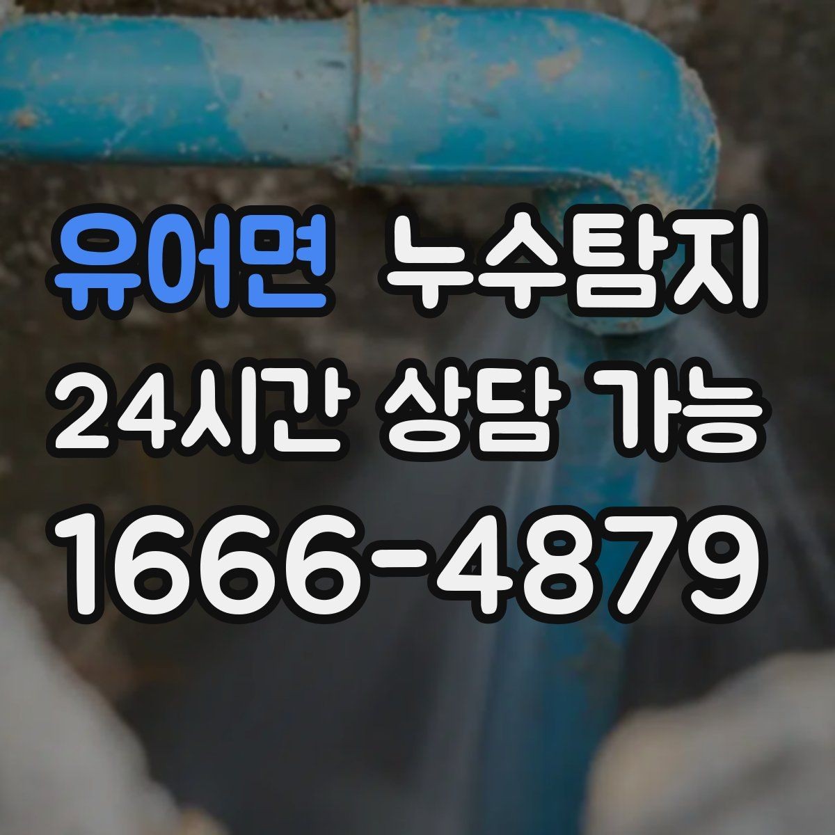 유어면 누수탐지 주상복합 구조에서 자주 생기는 사례