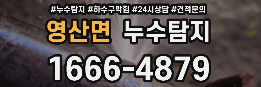 누수탐지