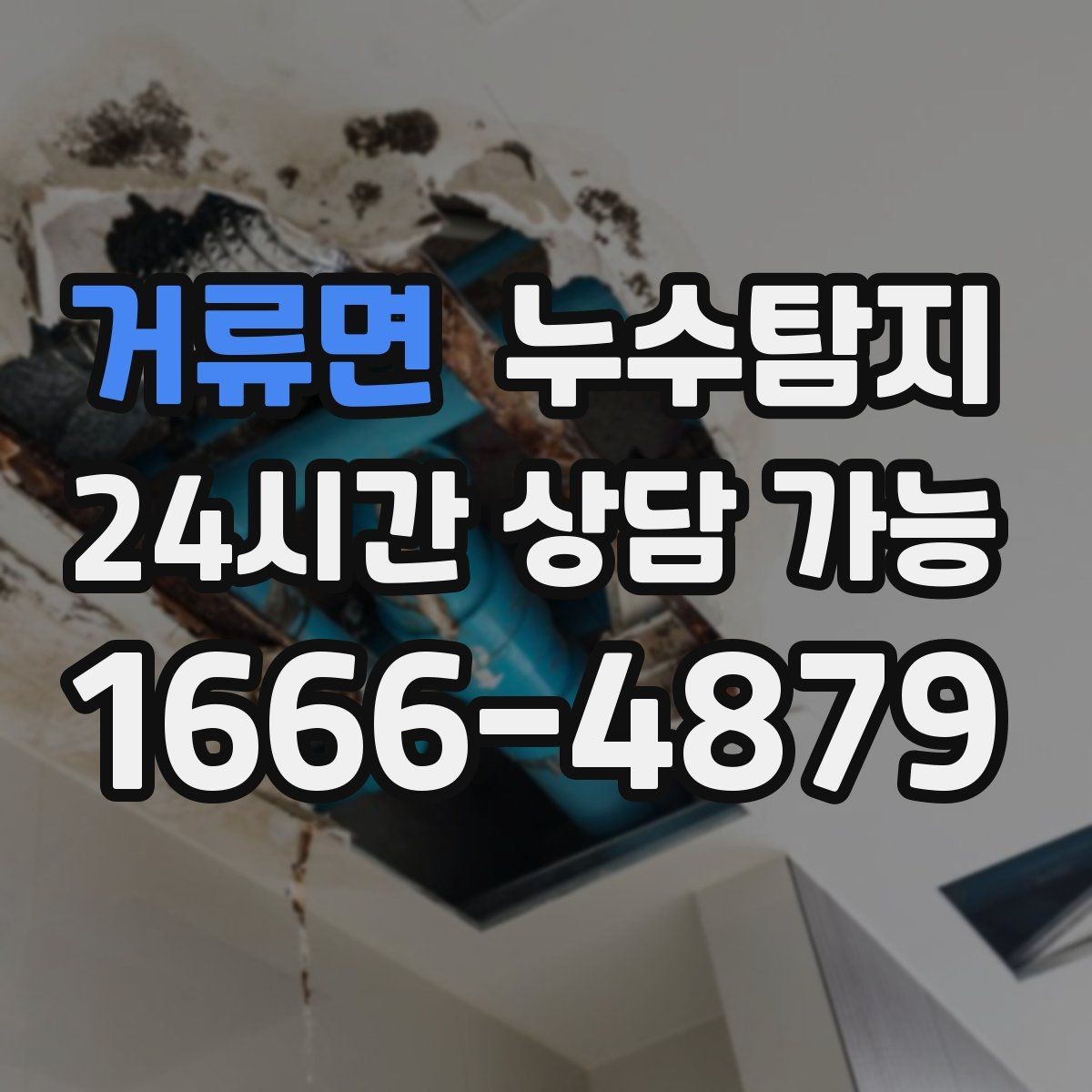 거류면 누수탐지 사전 점검으로 일정 지킨 이야기