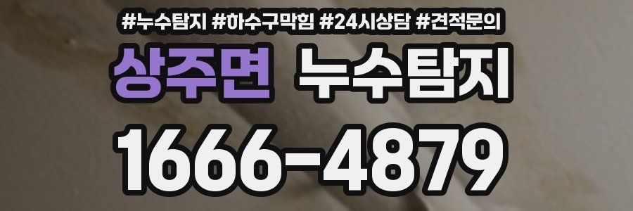 누수탐지