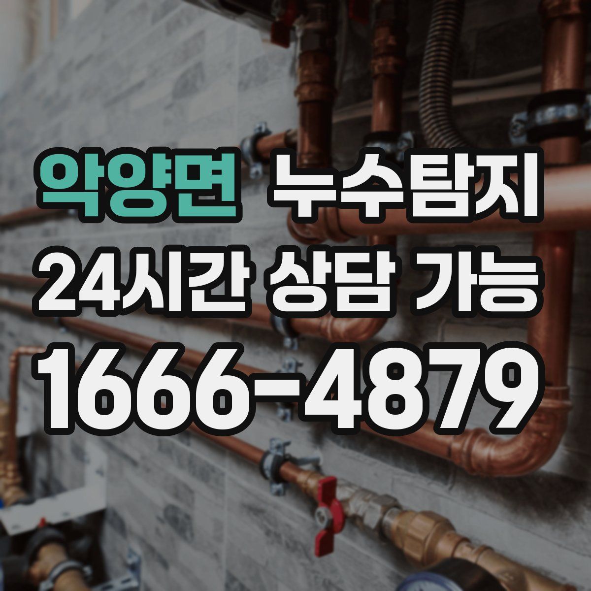 악양면 누수탐지