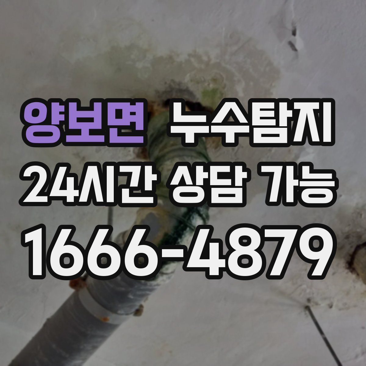 양보면 누수탐지