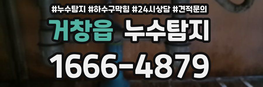 누수탐지