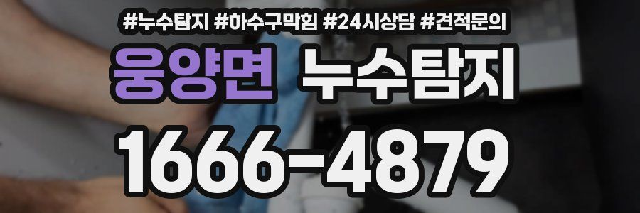 누수탐지