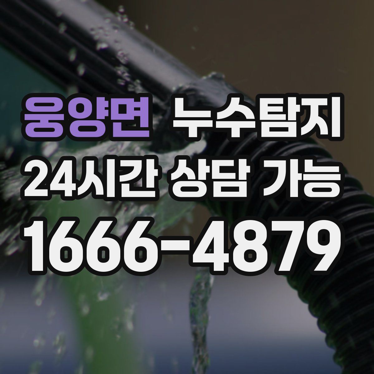 웅양면 누수탐지