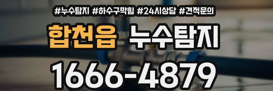 누수탐지