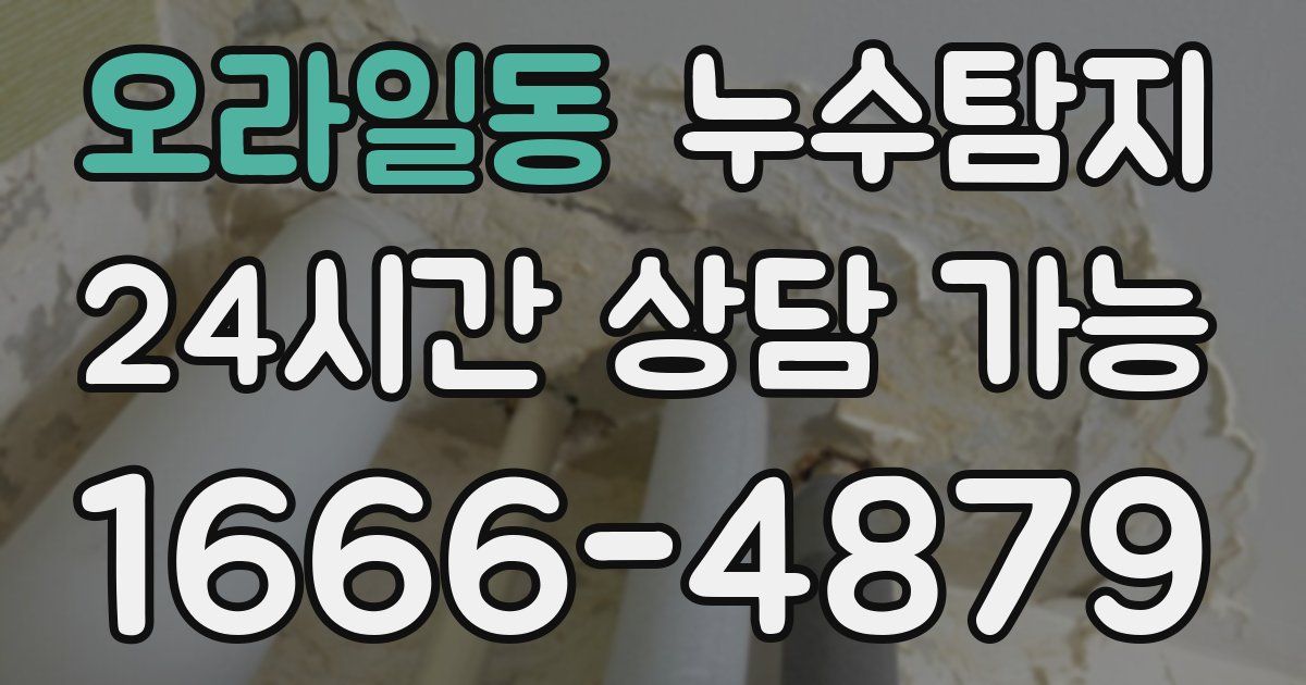 오라일동 누수