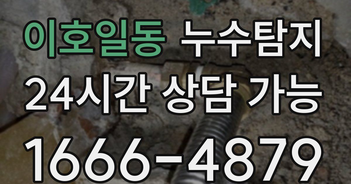 이호일동 누수