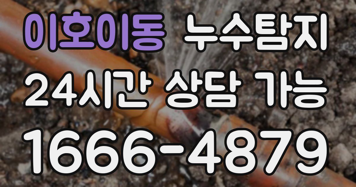이호이동 누수