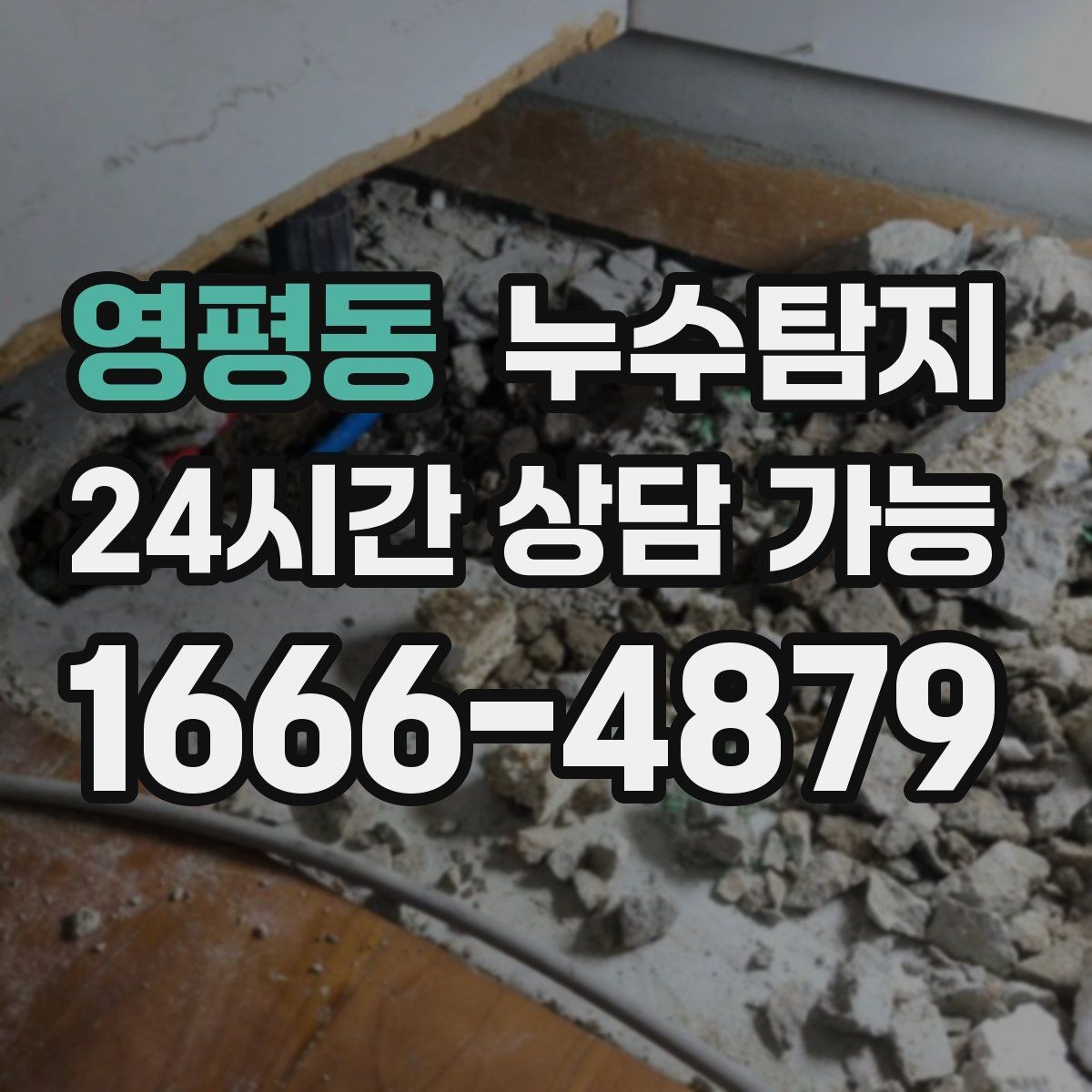 영평동 누수탐지 상가 영업 중 조용한 점검기