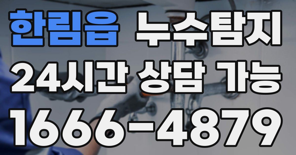 한림읍 누수