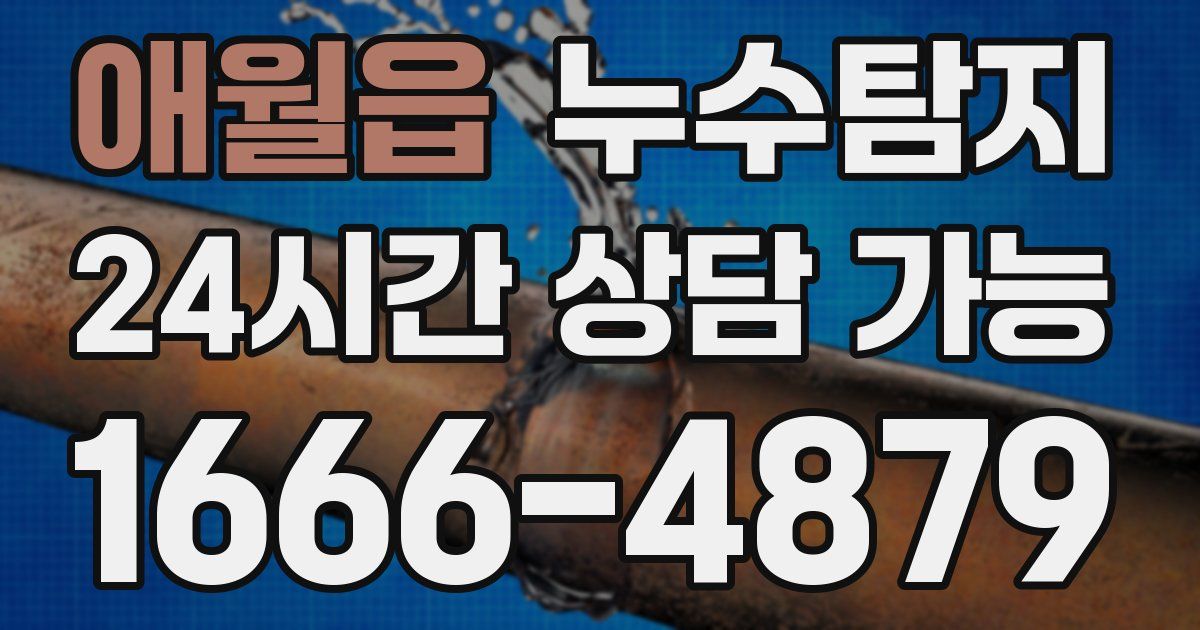 애월읍 누수