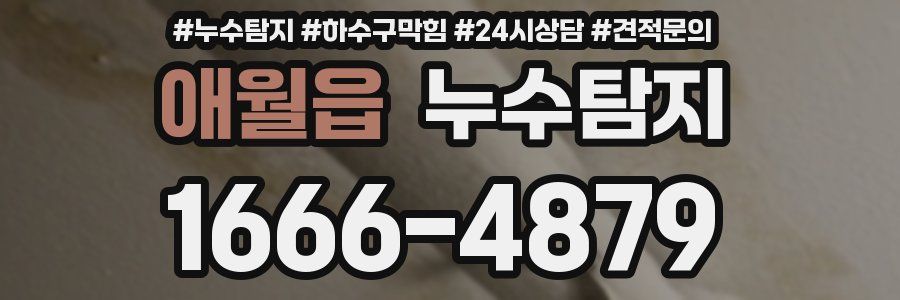 누수탐지