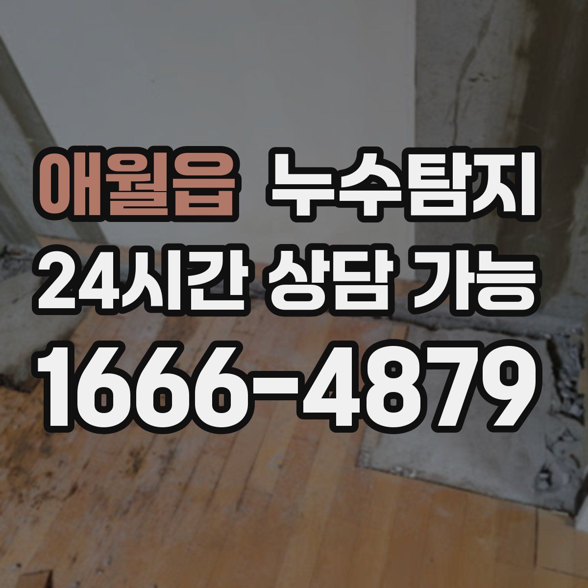 애월읍 누수탐지
