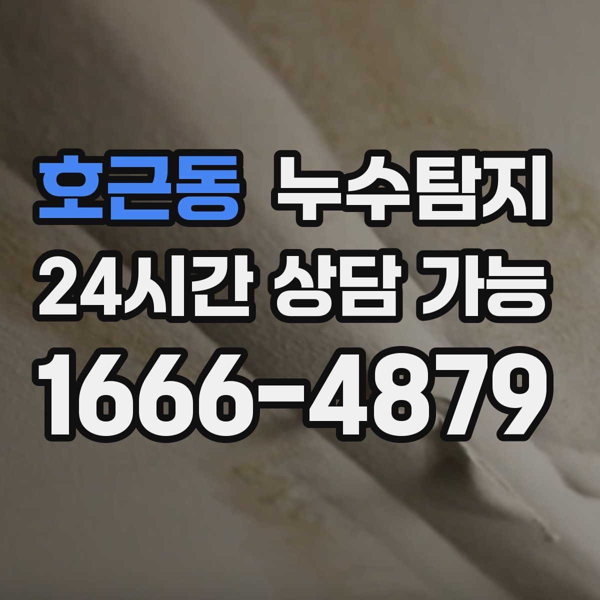 호근동 누수탐지