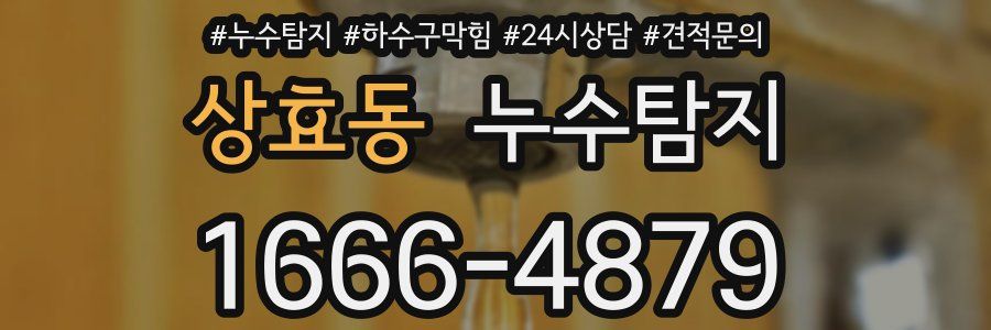 누수탐지